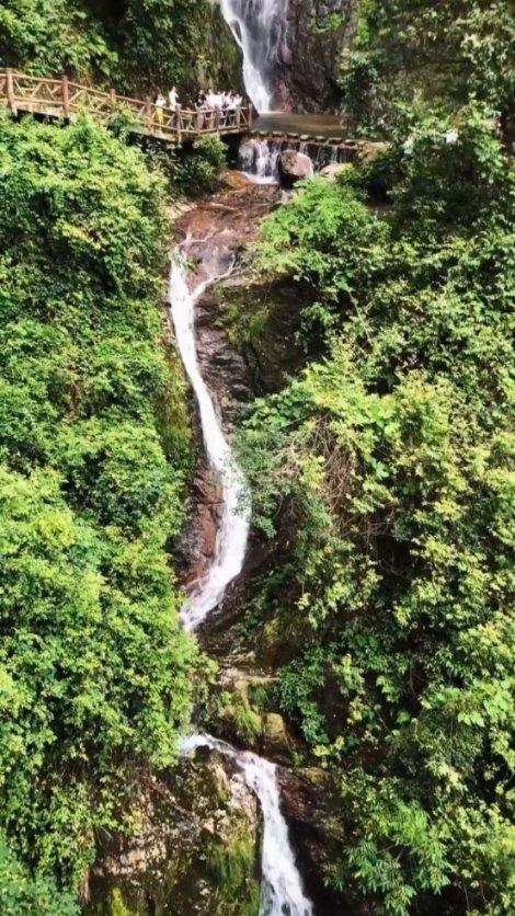逃离制药厂